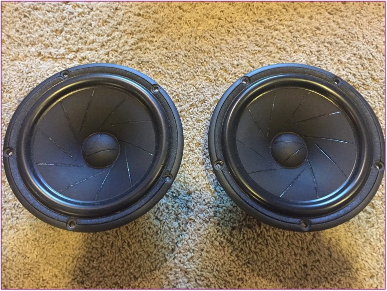 Scan Speak Diy Mobile Audio