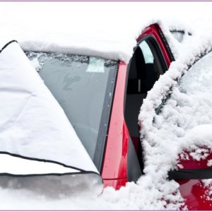 Windshield Protector In Winter