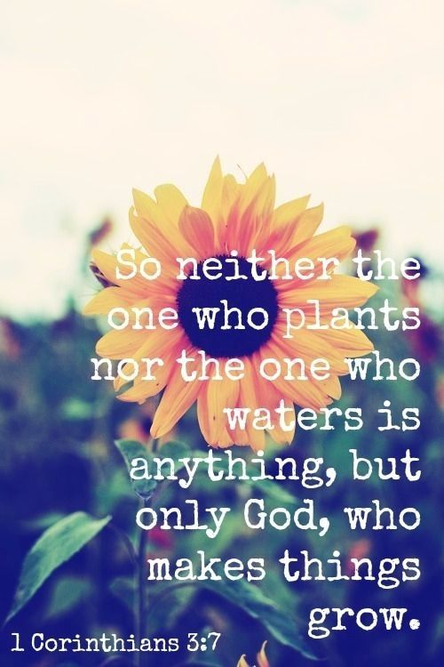 bible verses about growing in knowledge