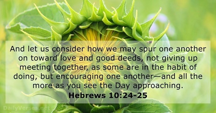 bible verses about growing like a plant