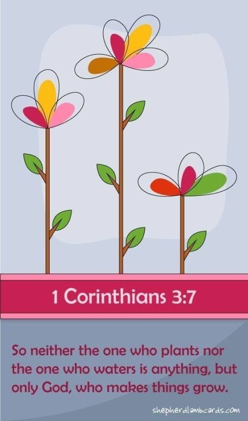 bible verses about growing together